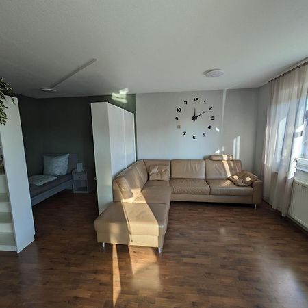 Fewo Lorenz Buchen  Exteriör bild
